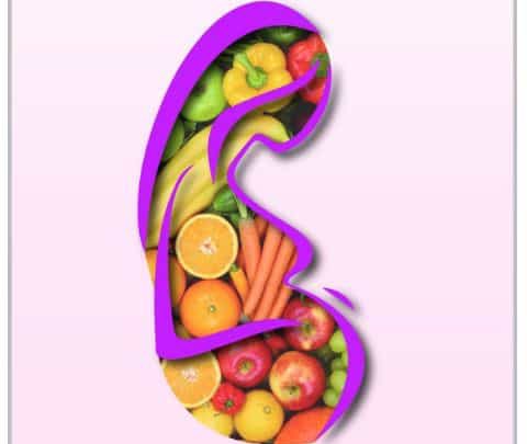 Corso ECM “Nutrire la fertilità” a Roma il 1 ottobre